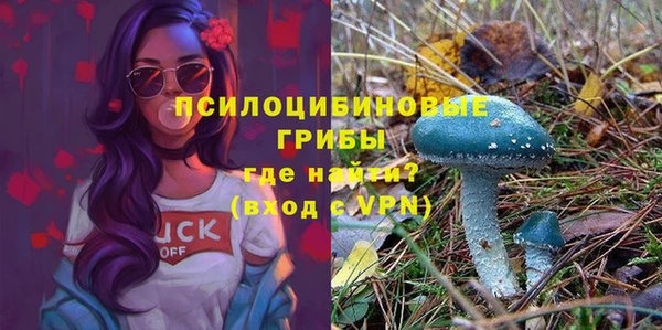 прущая мука Белокуриха