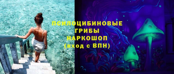 шишки Богородск