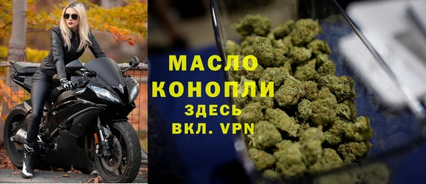 шишки Бородино